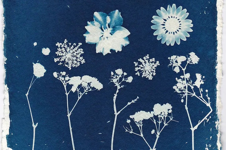 Atelier cyanotype