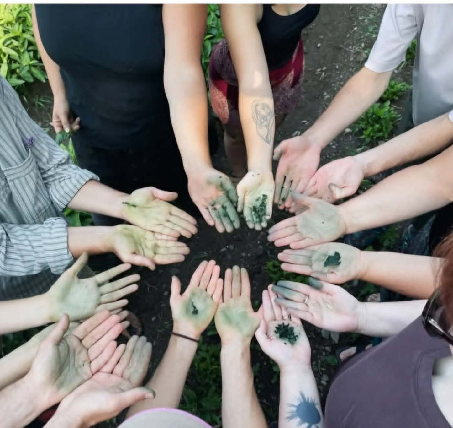 Cuve d'indigo communautaire - 24 juillet