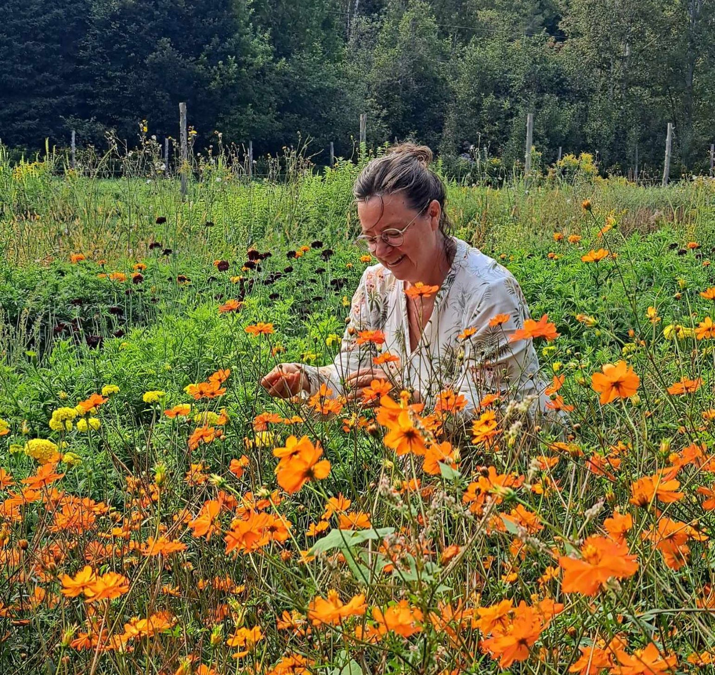 Visite au cœur de l'indigo & des plantes tinctoriales