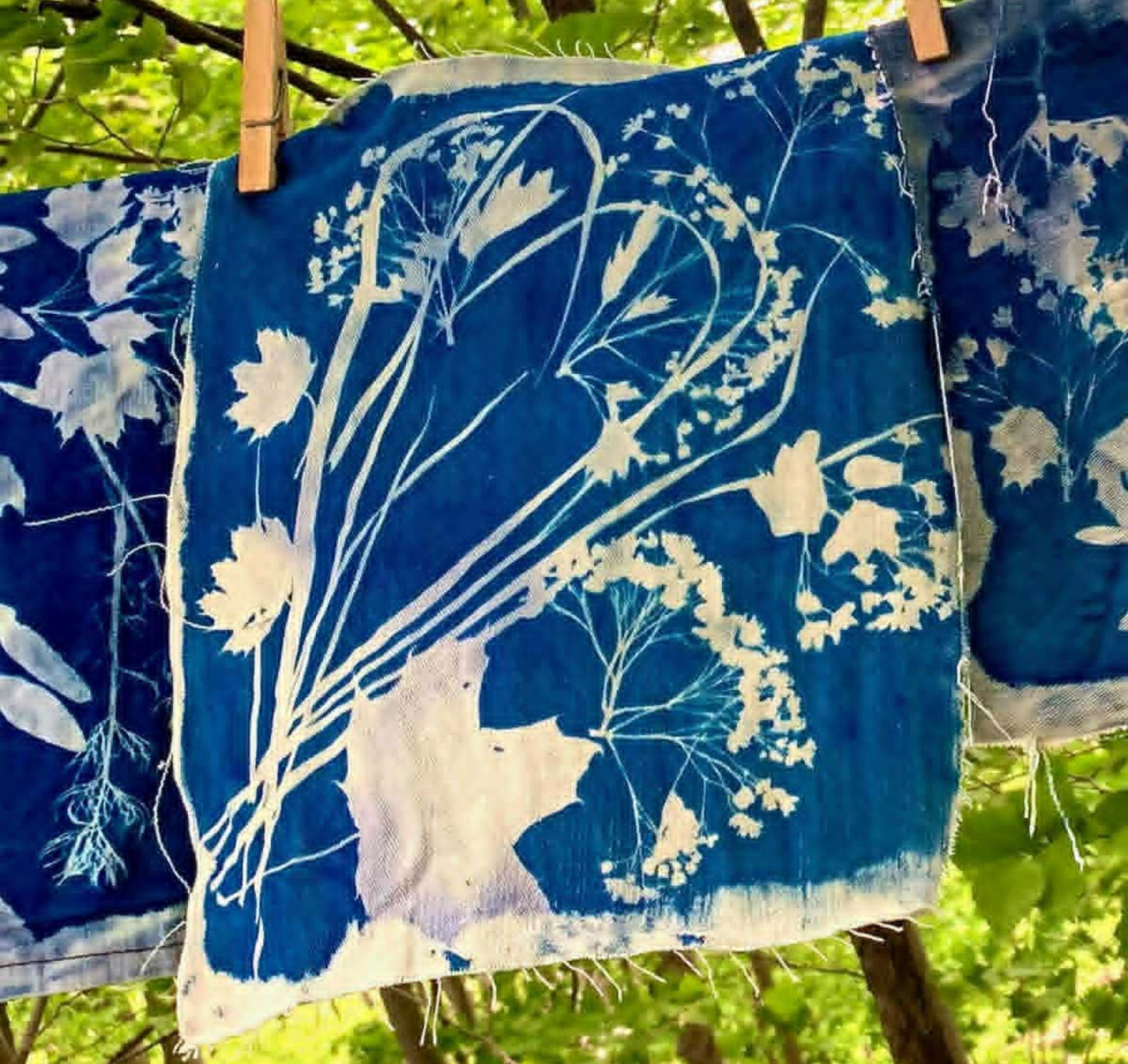 Atelier cyanotype