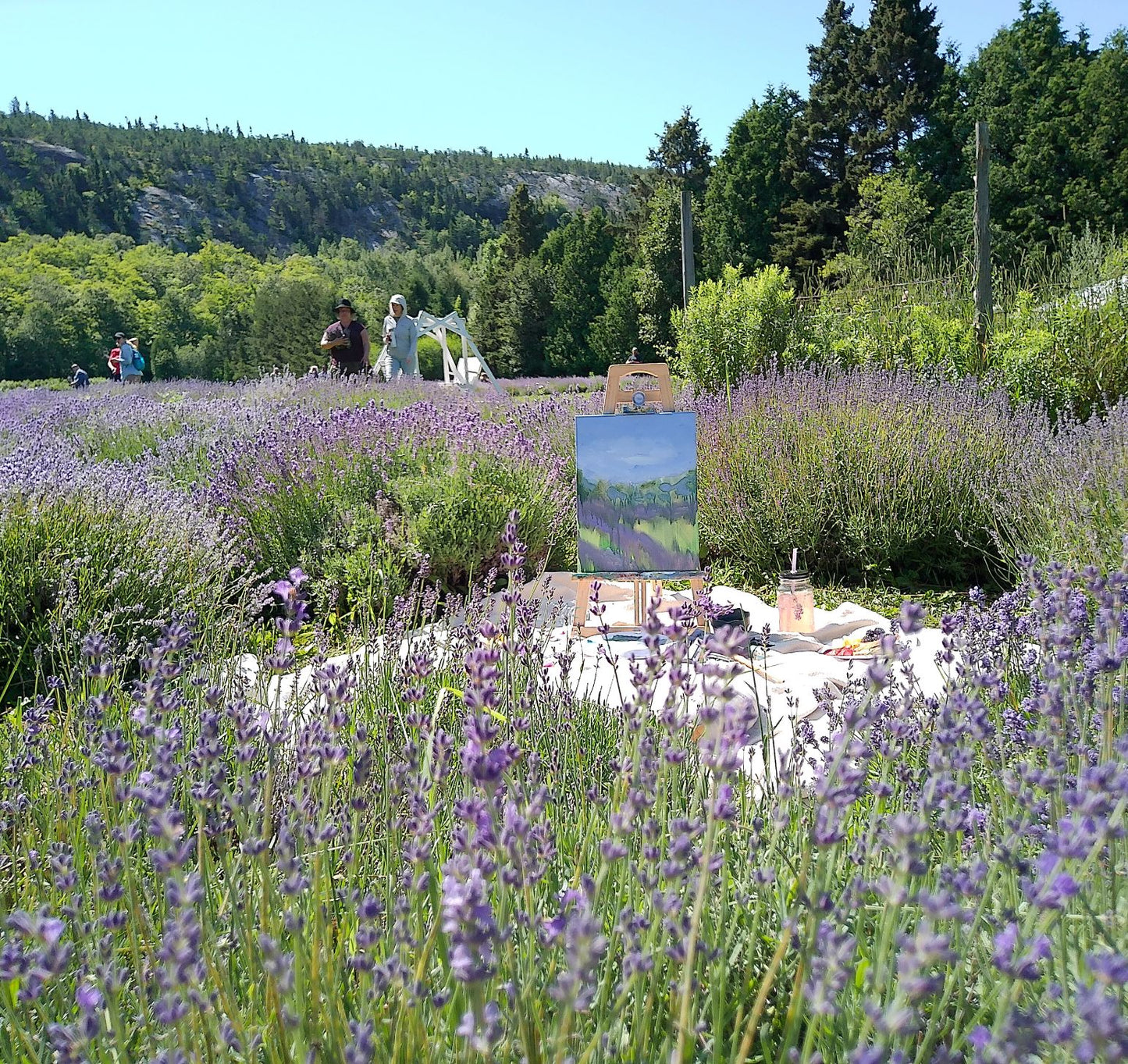 Atelier de peinture à l'acrylique dans la lavanderais